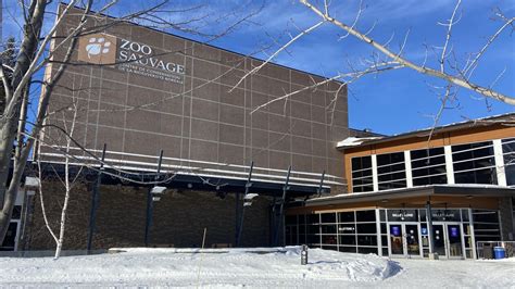 zoo sauvage saguenay cinema.